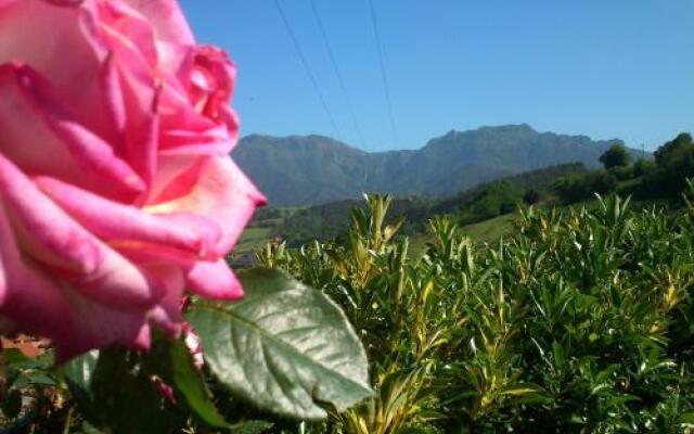 Apartamentos Rurales La Güertona