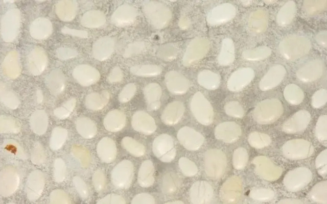 Champion Bay Apartments