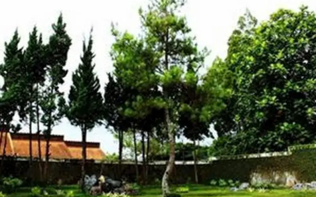 "rumah Pinus" Guesthouse & Cafe