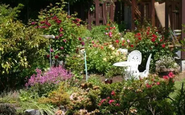 Arts Content Bed And Breakfast