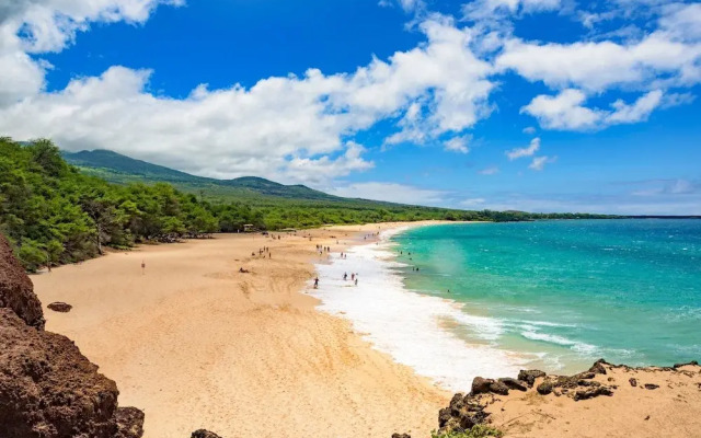 Maui Beach Kondo