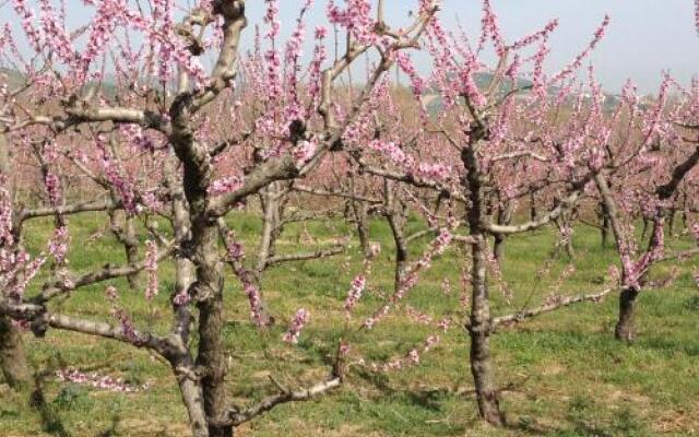 Agriturismo La Rosa Dei Venti