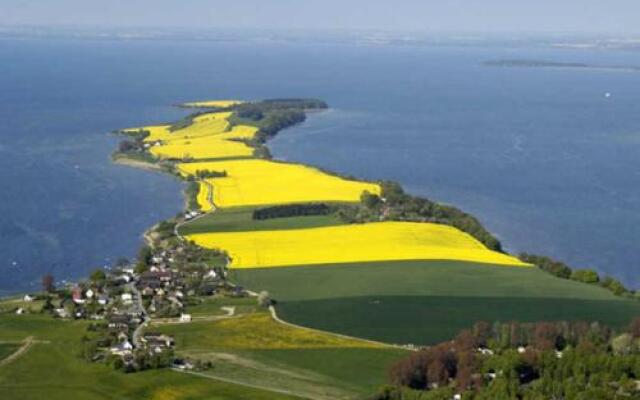 Karolas Landhus unterm Reetdach