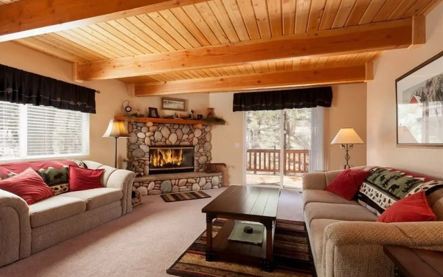 Cozy Bear Cave