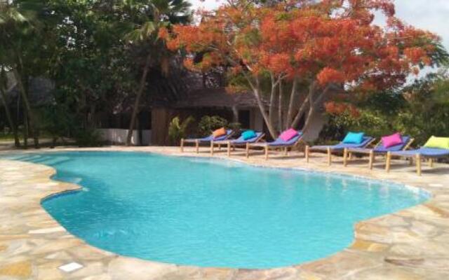 The Coco Paradise