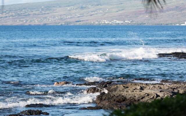 Hale Kauka by RedAwning