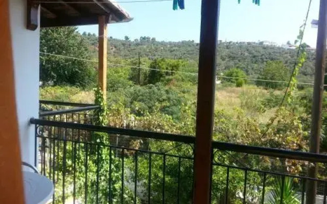 Adam's House