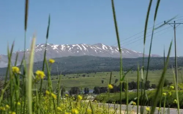 Kotcha in the Village