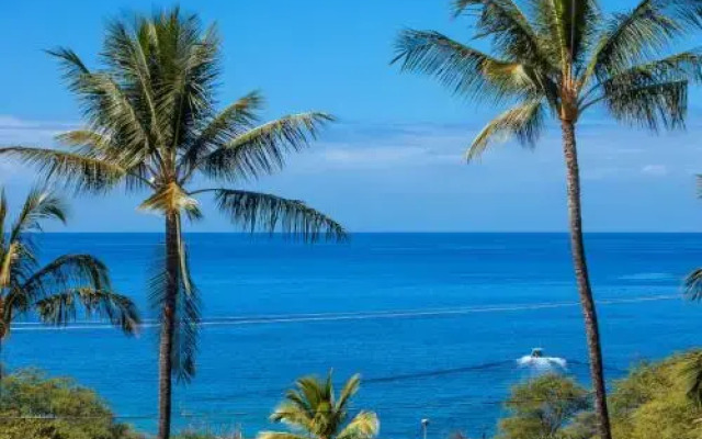 Maui Kamaole #G-210