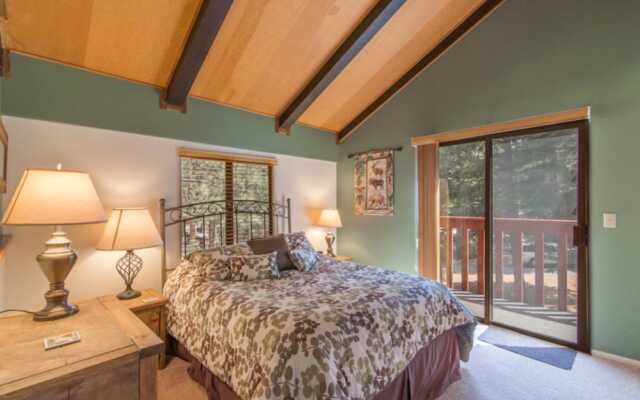 Wolf Tree by Red Awning