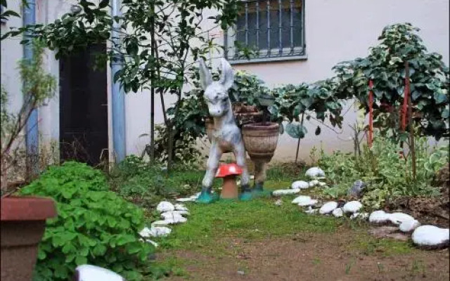 Guest House Mirza