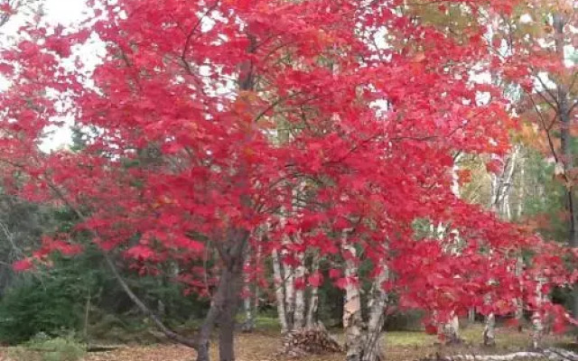 Lodge Nature Laurentides