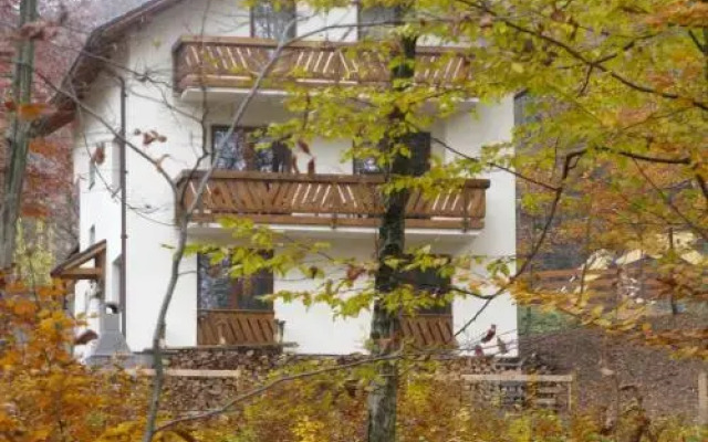 Casa de vacanta Mogosa