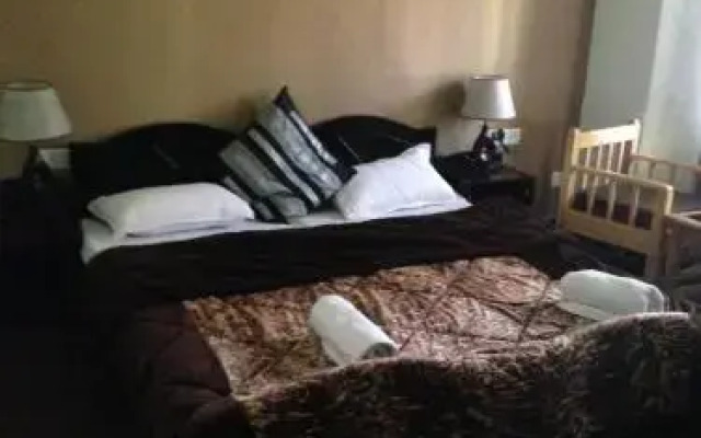 Adu's Eternal Comfort
