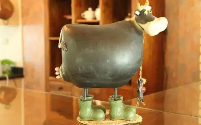 The Donkey Without Curly Lashes