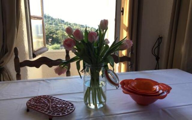 Fontana Piubica Davia