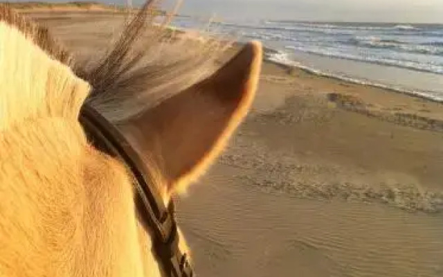 Kampeer & Logeerboerderij Madura