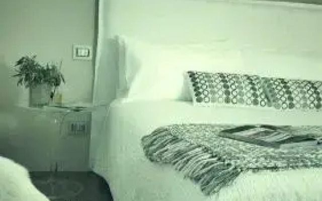 B&B Home 21