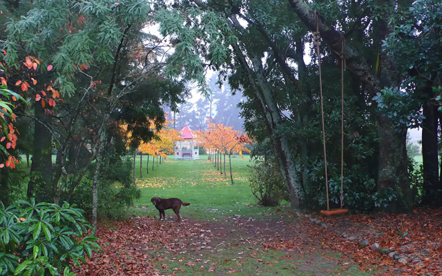 The Stablehand Quarters at Gunyah