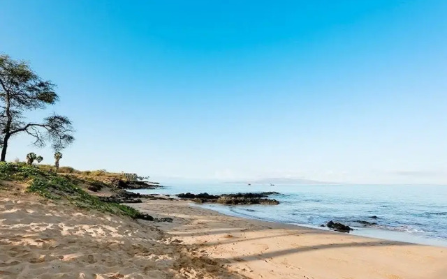 Maui Kamaole #J-221