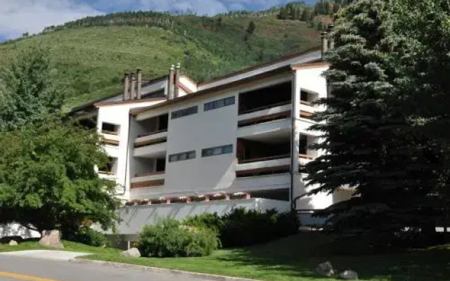 Snowfox Condo