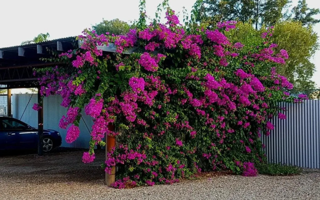 Broken Hill Outback Church Stay