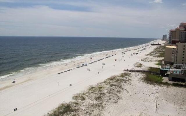 Royal Palms 1107 by RedAwning