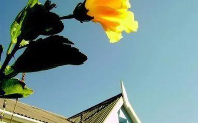 The Merry Widow Country Retreat