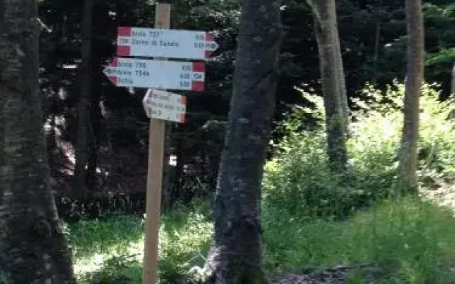 Campeggio Di Schia