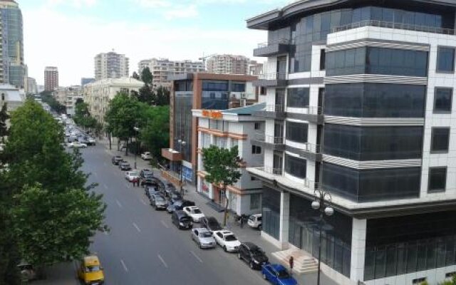 Central Baku Apartment