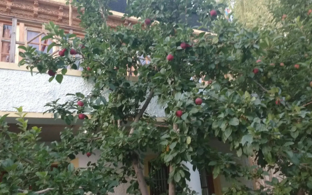 Chubi Sponbo Guest House.