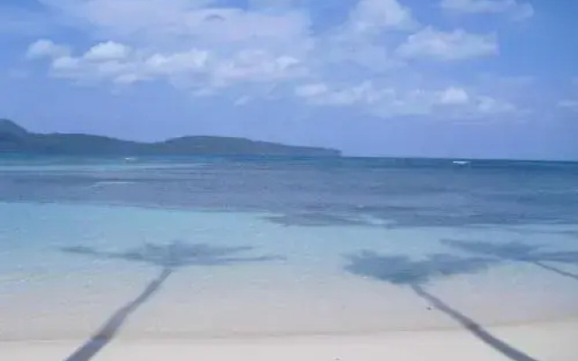 Caoba