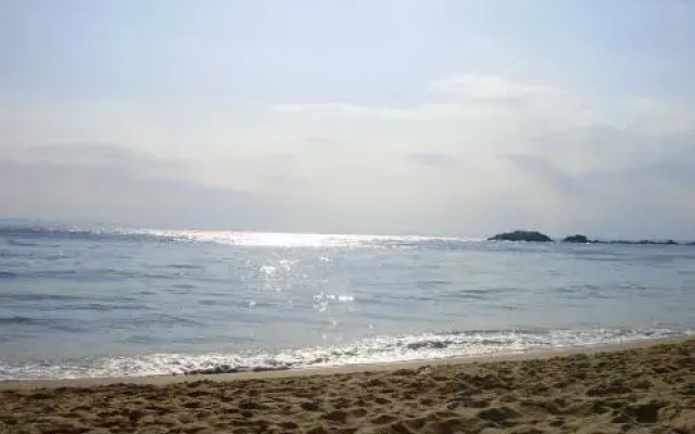 Palmeras 5.2
