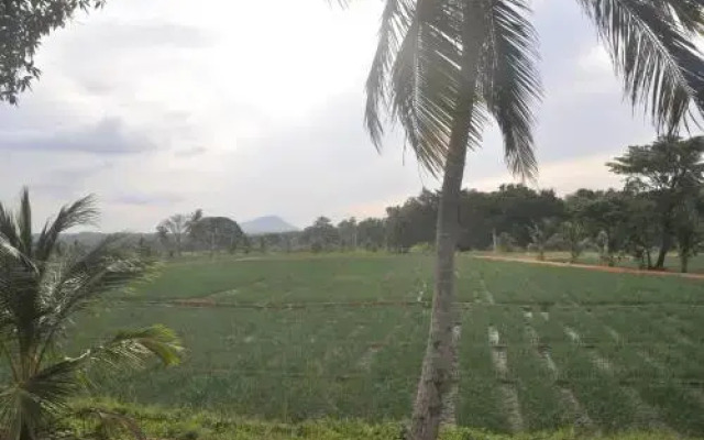 Yenus Bungalow