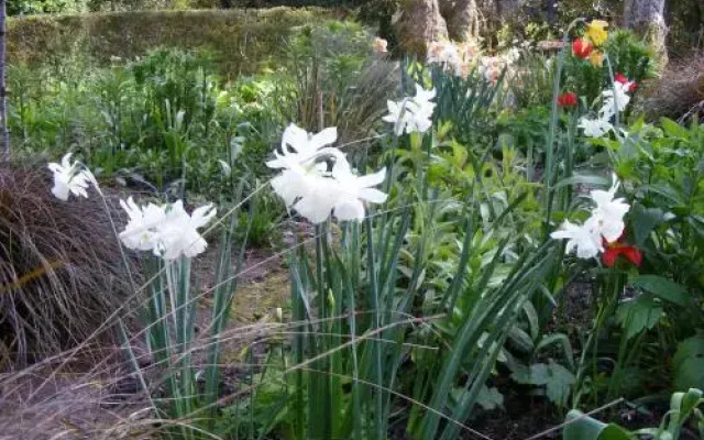 Bleanaskill Lodge & Achill Secret Garden
