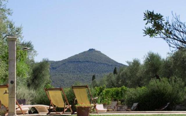 Agriturismo Tra Gli Ulivi