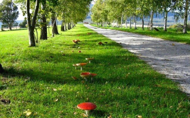 Plovers Ridge Country Retreat