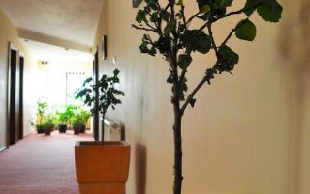 Pension Florica