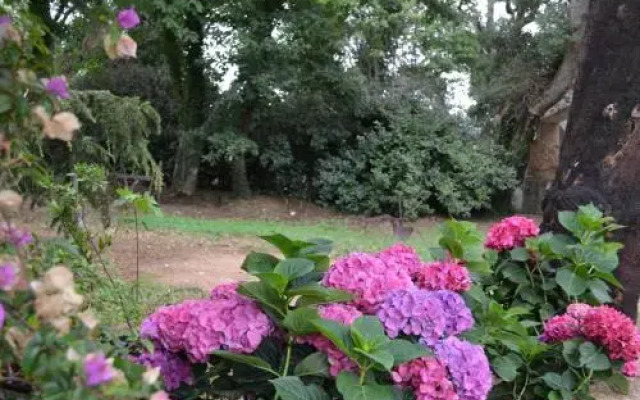 B&B Maison et Charme