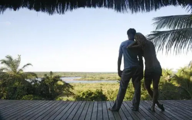 Art Jungle Eco Lodge