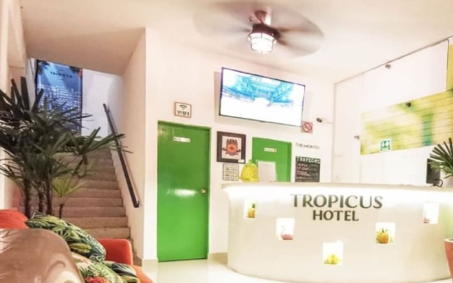 Tropicus 22 Romantic Zone Simple Room with Balcony