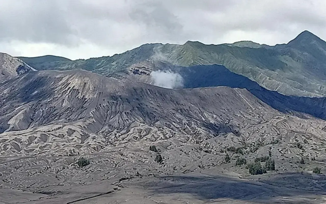 Istana Bromo Resort and Resto