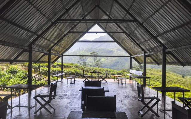 Wild Glamping Knuckles