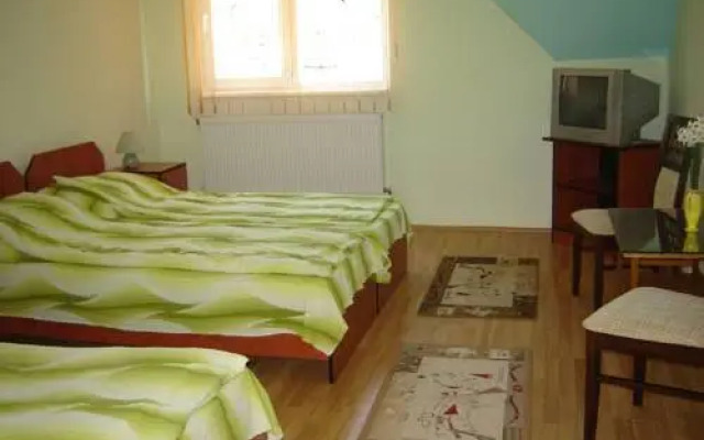 Pensiunea Nemes Panzio