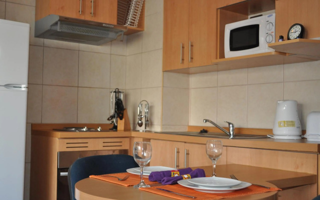 Santiago Lastarria Apartment