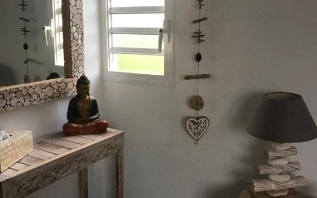 LES ALOÈS By CREYOL ANIMAL