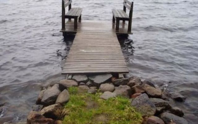 Hevonkuusi