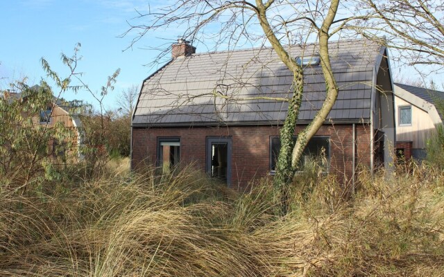 Zeester Egmond nr 15