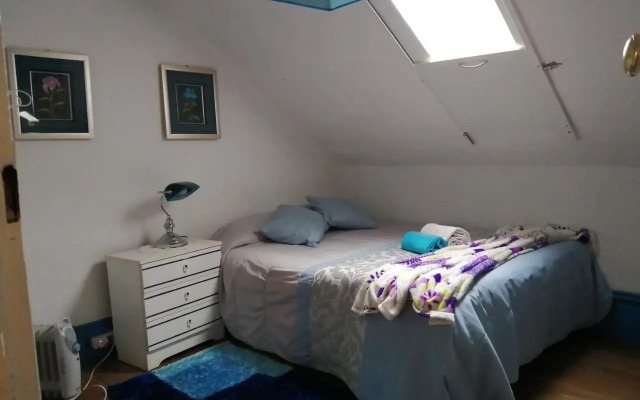 Casa dragao