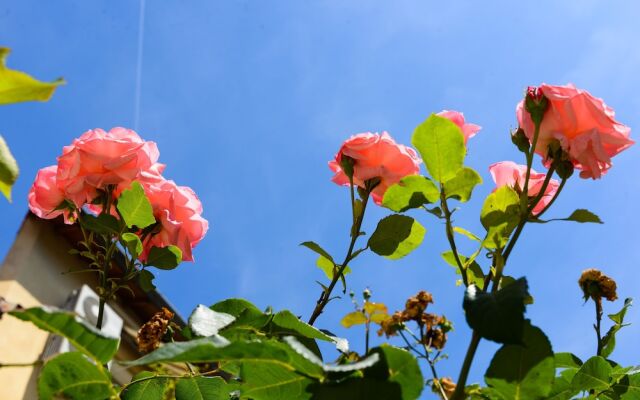 Studio Les Hortensias